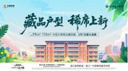 麻章麻章金地·自在城三期楼盘新房真实图片