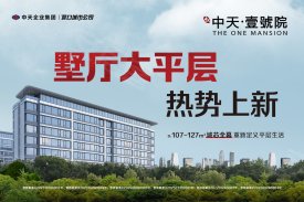 中天·壹號院
