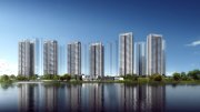 水乡新城麻涌钜隆·碧水蓝湾楼盘新房真实图片
