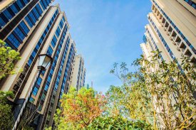 进贤排名_南昌市进贤新区规划图