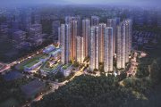 龙岗区平湖金光华凤凰九里楼盘新房真实图片