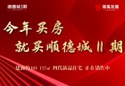 大祥区大祥区顺德城·II期楼盘新房真实图片