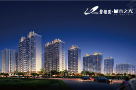 碧桂园城市之光