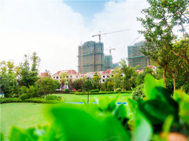 香榭湖玫瑰园