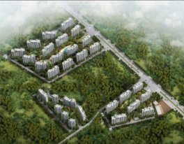 鲁能海蓝福源