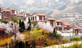 茶山大院