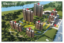 天展明珠港