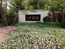 亚奥金茂悦