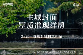 徐钢棠颂（市芯纯洋房）