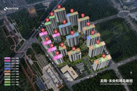 龙翔·未央和鸣