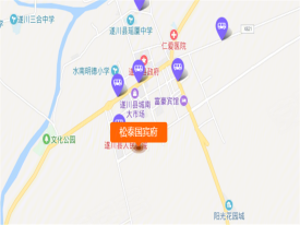 松泰国宾府