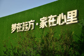 远洋心里