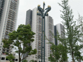 泰平盛世荷苑
