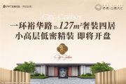 桥西区裕华路保利天汇7号地楼盘新房真实图片