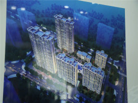 文兴首席