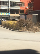 城基绿色家园