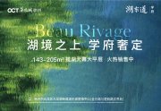 新城区大龙湖湖东道楼盘新房真实图片