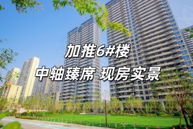 白鹭金岸