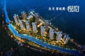 龙光碧桂园悦府