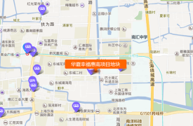华夏幸福惠南项目地块