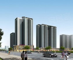 井大·魅力天城