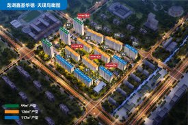 龙湖鑫基华德·天璞