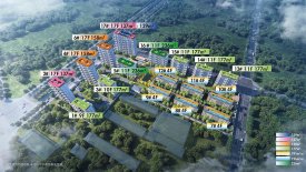 新元序