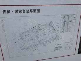 伟星国宝壹