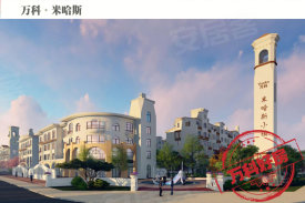 万科米哈斯小镇