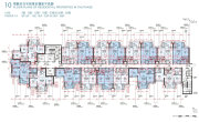 九龙深水埗区Belgravia Place楼盘新房真实图片