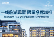 经济开发区高铁商务区大华梧桐院（叠墅）楼盘新房真实图片