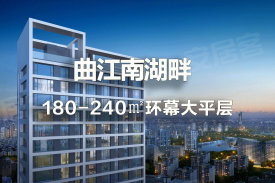 曲江城市树