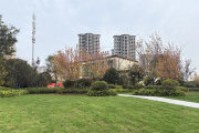 东城区东城区金叶·鹿鸣花园楼盘新房真实图片