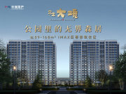 郊区郊区华强大境楼盘新房真实图片