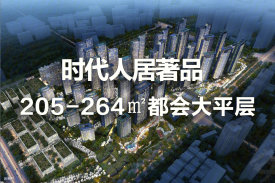 金泰·唐618