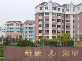 新新家园