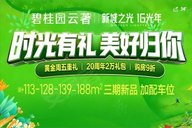碧桂园云著