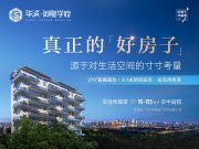 龙凤龙凤华溪·御龙学府楼盘新房真实图片