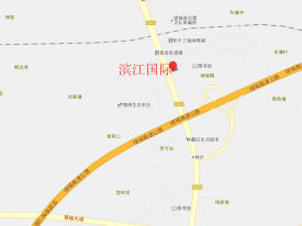 滨江国际