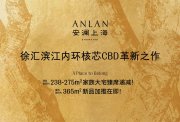 徐汇区斜土路安澜上海楼盘新房真实图片