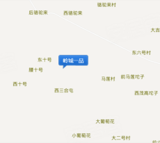 岭城一品